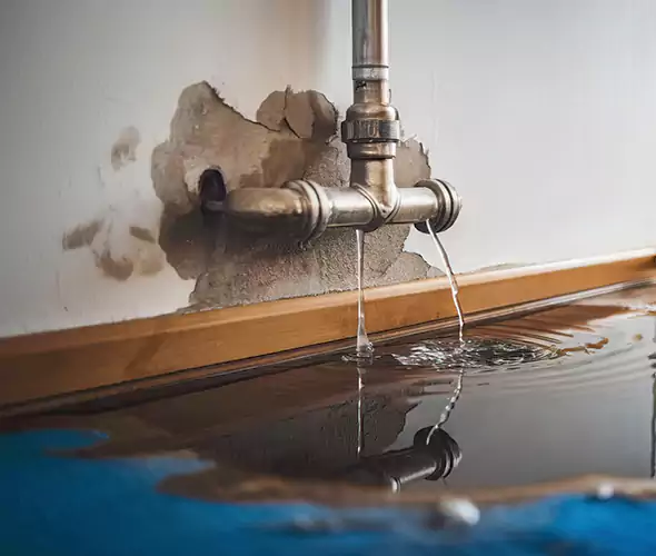 Professional Water Damage Restoration Experts in Monterey, CA — Fast, Reliable & Certified