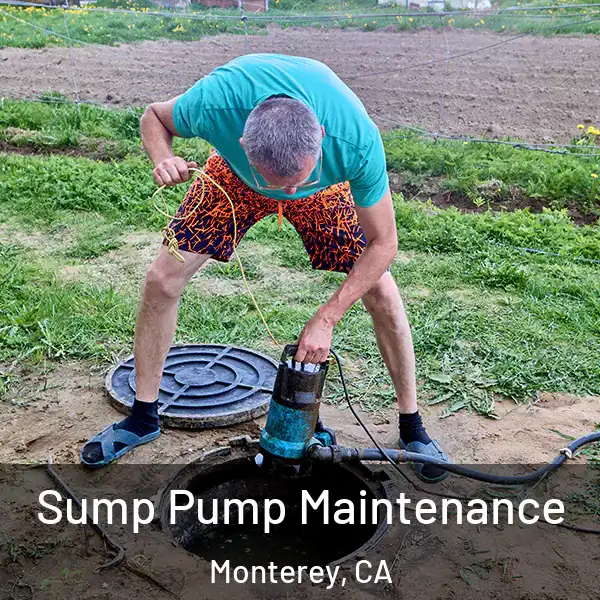  Sump Pump Maintenance Monterey, CA