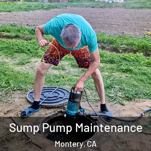  Sump Pump Maintenance Montery, CA