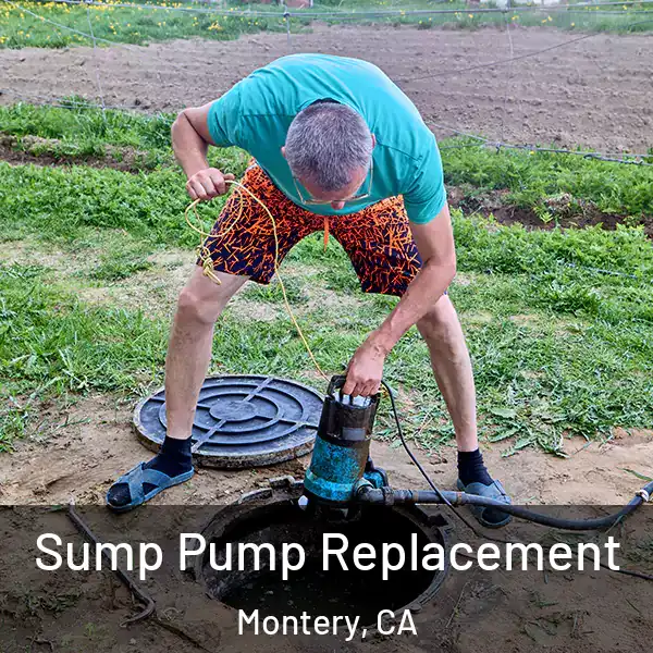  Sump Pump Replacement Montery, CA