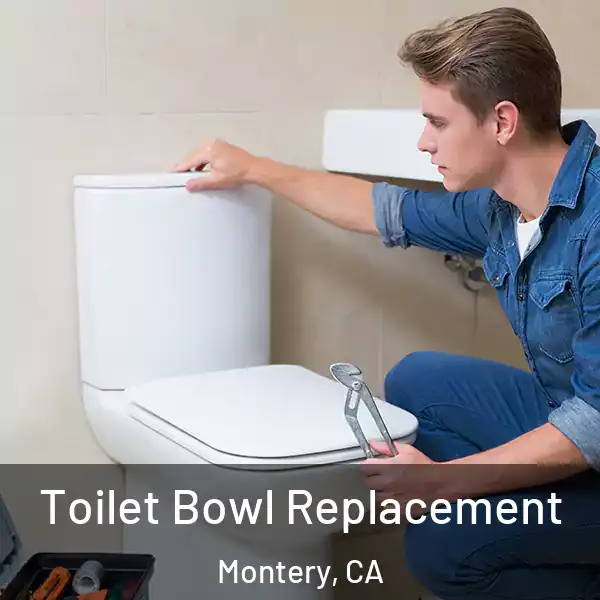  Toilet Bowl Replacement Montery, CA