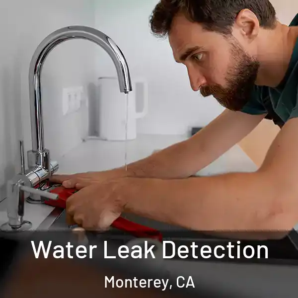  Water Leak Detection Monterey, CA