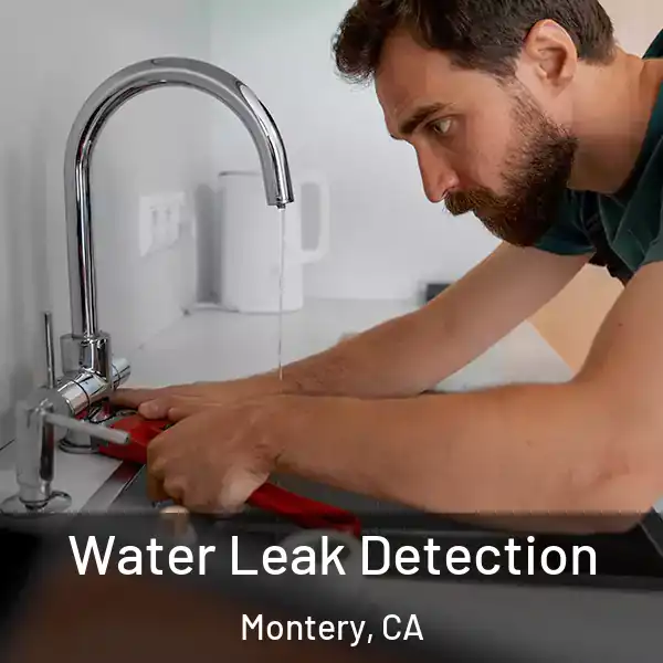  Water Leak Detection Montery, CA
