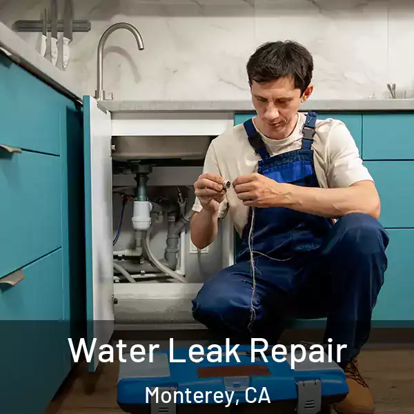  Water Leak Repair Monterey, CA